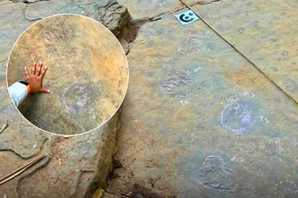 Des empreintes de dinosaures de plus de 225 millions d'années découvertes en Thaïlande