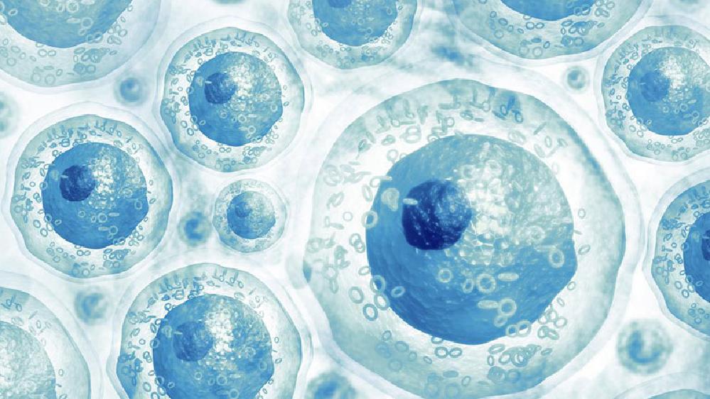 Médecines alternatives pour booster sa santé, lutter contre le cancer, rajeunir, retrouver ses cheveux en Thaïlande