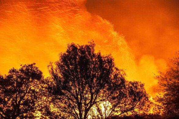 160 000 hectares dans le nord de la Thaïlande devraient être détruits par des incendies