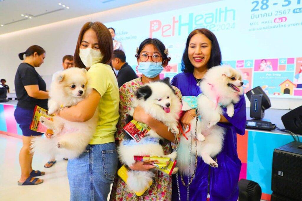 Thaïlande : le business des animaux de compagnie profite de l'humanisation des animaux