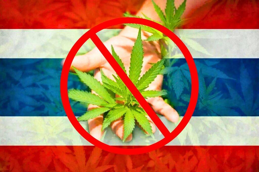 Thaïlande : vote majoritaire pour reclasser le cannabis comme stupéfiants en 2025
