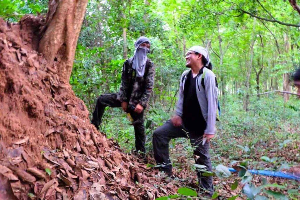 Une nouvelle espèce de scorpion minuscule découverte en Thaïlande