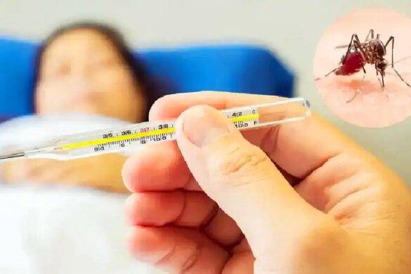 Alerte à la grippe et la dengue en Thaïlande