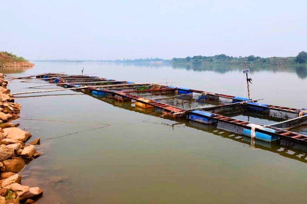  Une ferme piscicole dans le Mékong, près de la rive thaïlandaise, dans la province de Bueng Kan