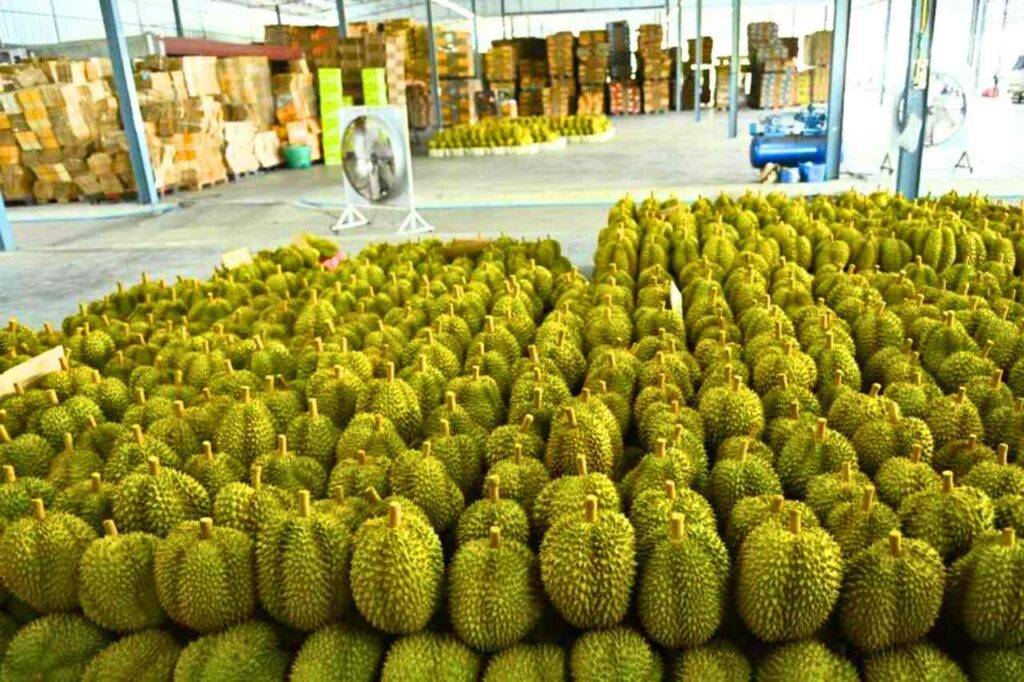 Boom des exportations de Thaïlande portées par l’ASEAN et la Chine