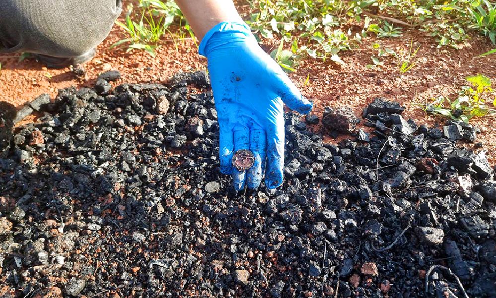 A Belgian arrested for the murder of a compatriot in Thailand