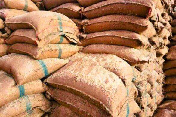 Thaïlande : le riz vieux de dix ans serait comestible d&rsquo;après des tests