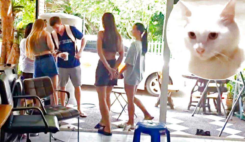 Scandale en Thaïlande : un policier filmé en train de torturer et tuer un chat