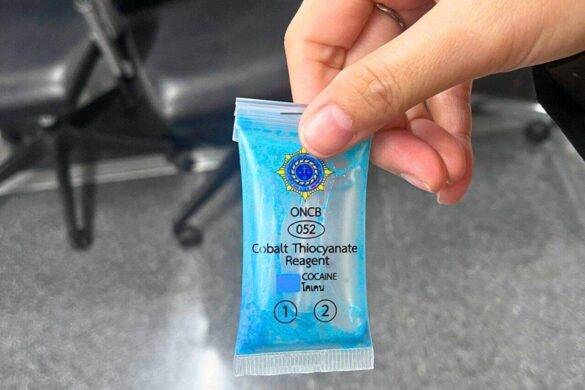 Un touriste arrêté en Thaïlande avec de la cocaïne dans son passeport