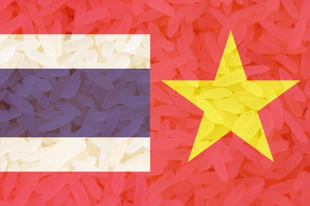 La Thaïlande détrônée : le Vietnam devient le 2e exportateur de riz