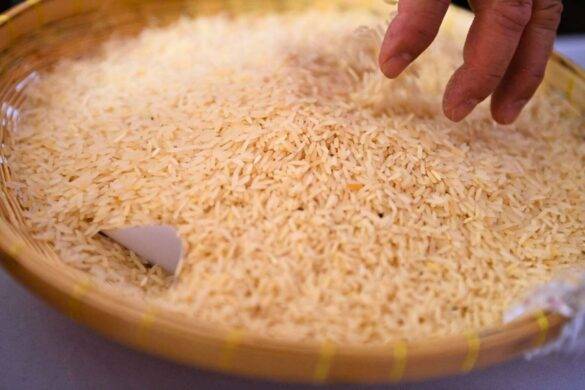 Thaïlande : comment un programme populiste a dévasté le marché du riz ?