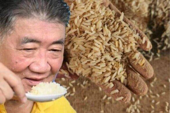 Les africains inquiets de recevoir le vieux riz de Thaïlande