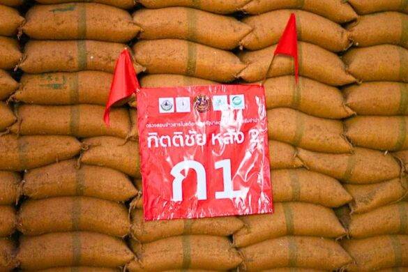 Thaïlande : le projet de vente de vieux riz possiblement cancérigènes très critiqués