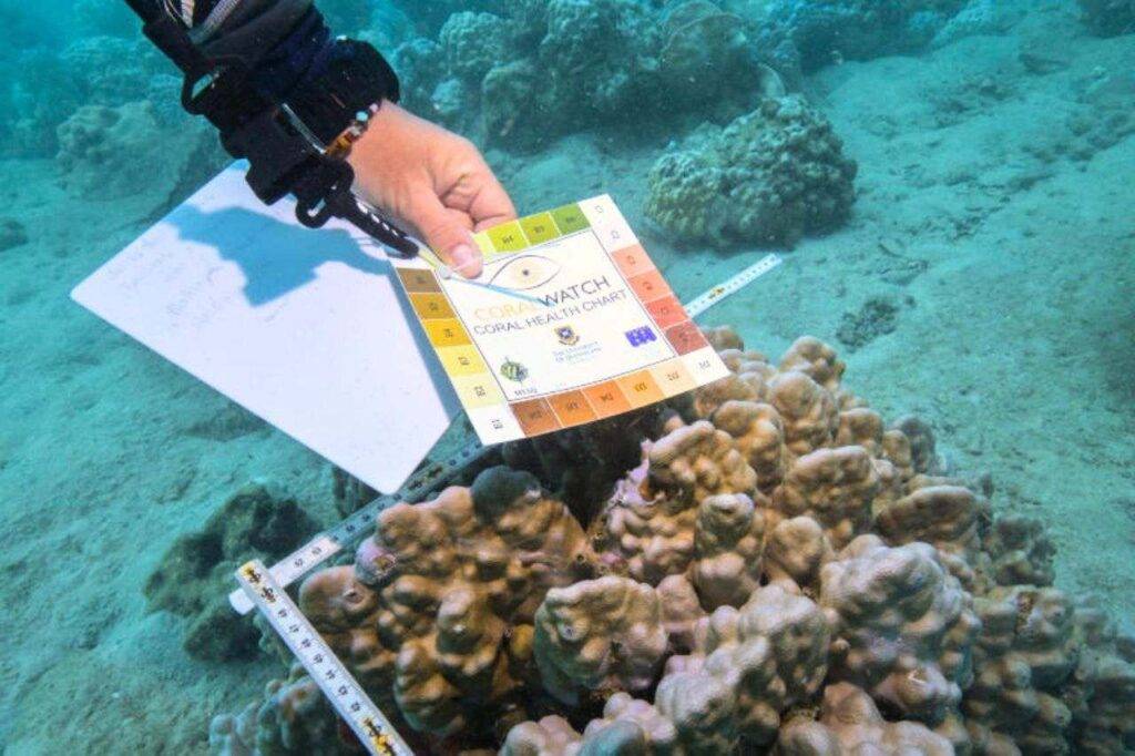 Les températures de la mer en Thaïlande atteignent un niveau record