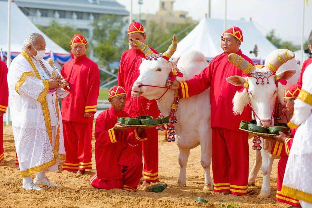 Thaïlande : la cérémonie du Labour Royal 2024 prédit une économie prospère