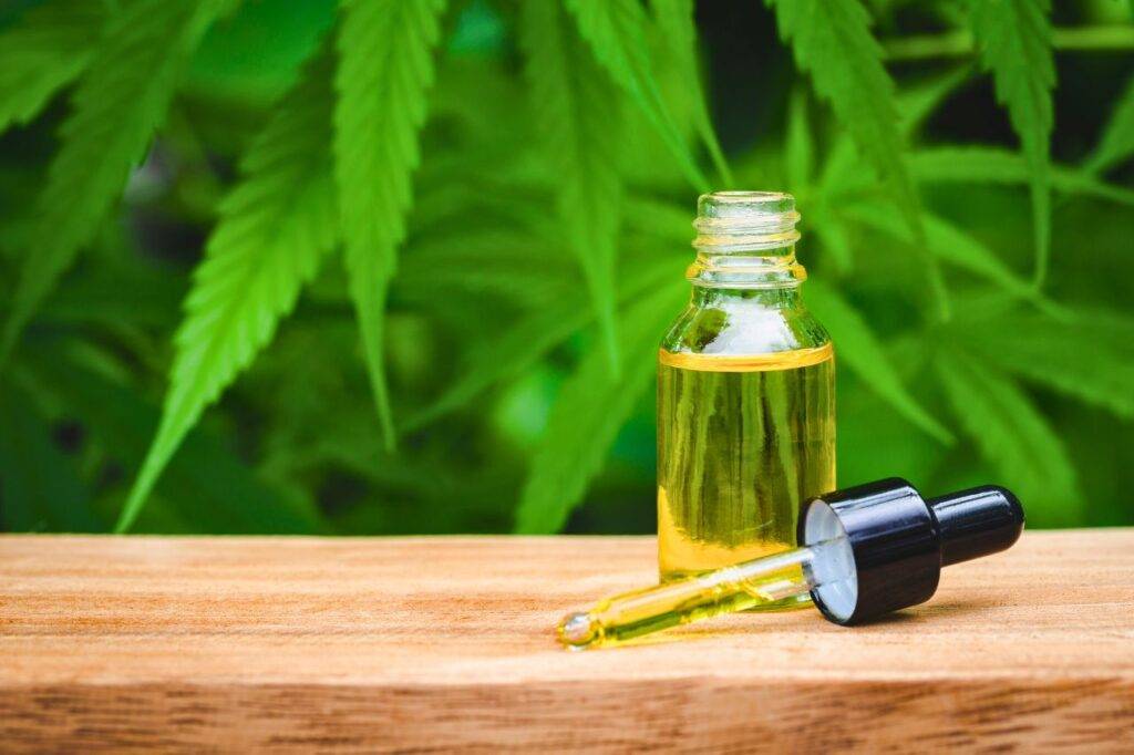 Le marché du cannabis en Thaïlande pourrait perdre 10 milliards de bahts