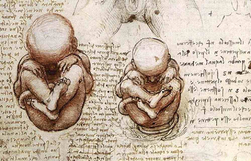 Foetus de Vinci
