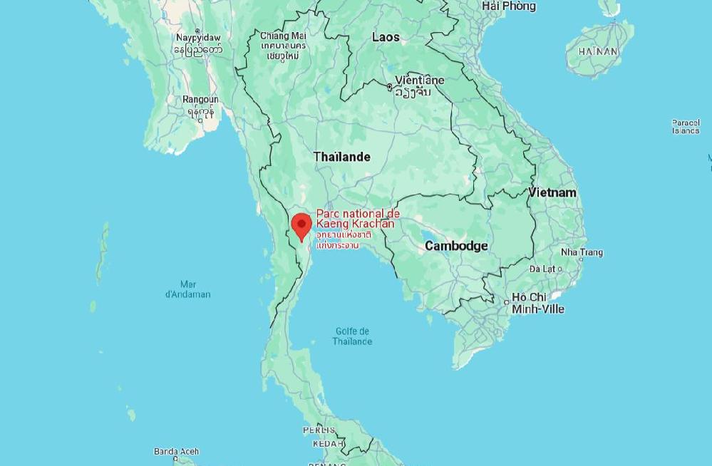Une touriste se retrouve face à deux panthères noires en Thaïlande