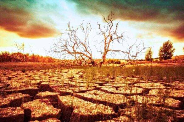 Comment la Thaïlande lutte contre le réchauffement climatique ?
