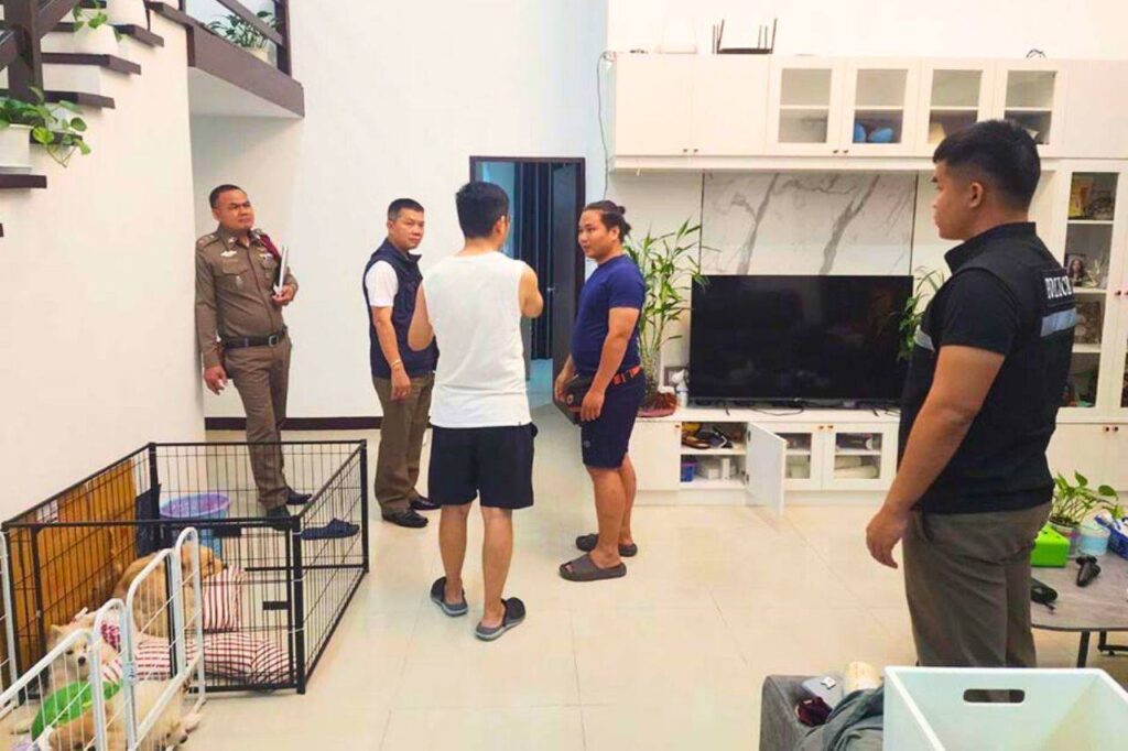 Étrange histoire de vol avec kidnapping de chinois en Thaïlande
