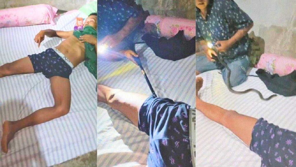Thaïlande : un cobra vient se loger dans son caleçon pendant sa sieste