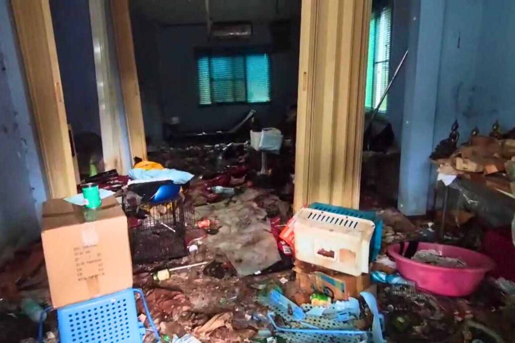 28 chiens affamés mangent leur maître décédé à Bangkok en Thaïlande