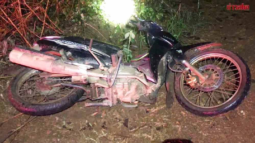 Collision mortelle avec un éléphant en Thaïlande