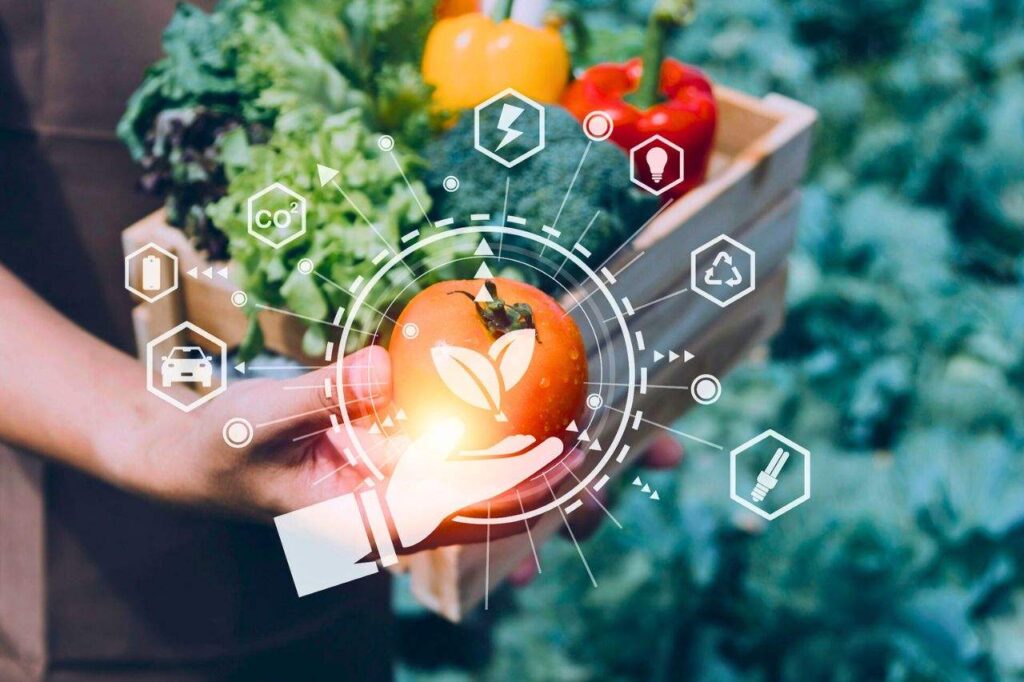 La Thaïlande classée 12ᵉ exportateur mondial d'aliments du futur