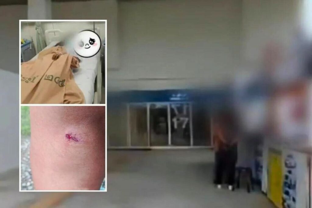 Une chasse aux touristes se transforme en bagarre dans le sud de la Thaïlande