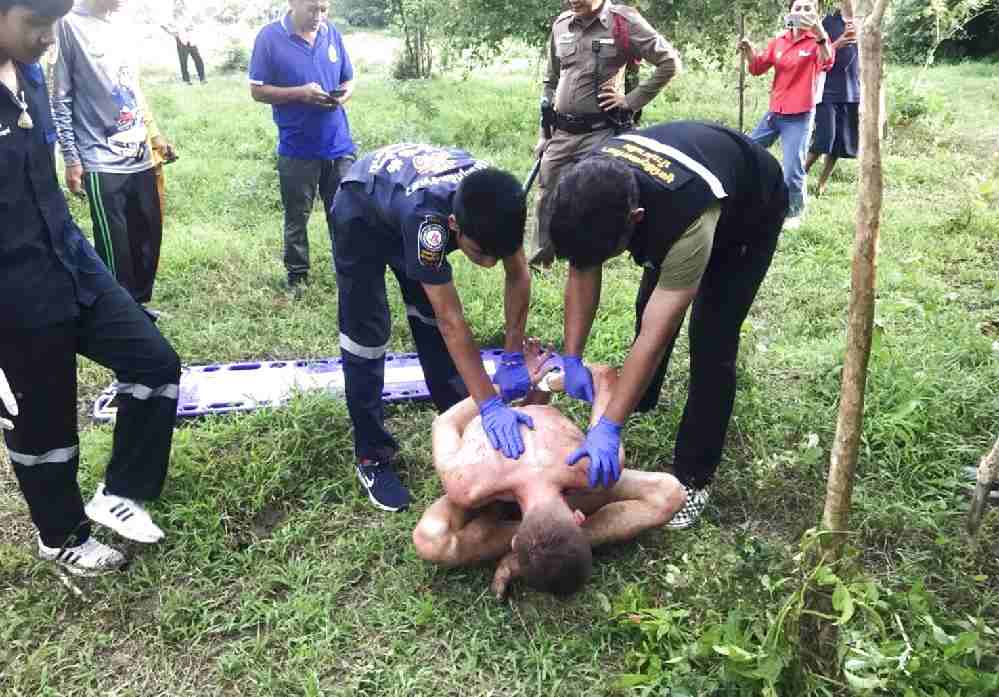 Thaïlande : un touriste nu qui aurait tenté de violer une vache s'est fait encorner