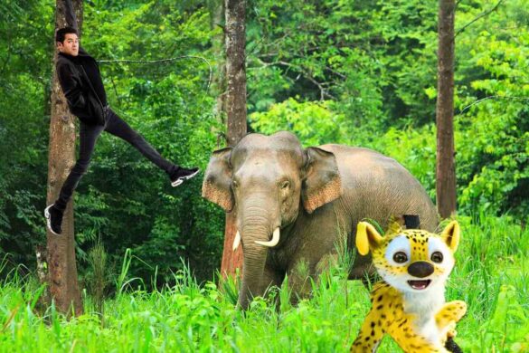 Jamel Debbouze tombe amoureux de la Thaïlande lors d&rsquo;une chasse au Marsupilami