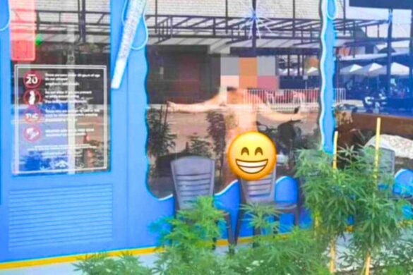 Phuket tire la sonnette d’alarme : trop de touristes « défoncés » au cannabis