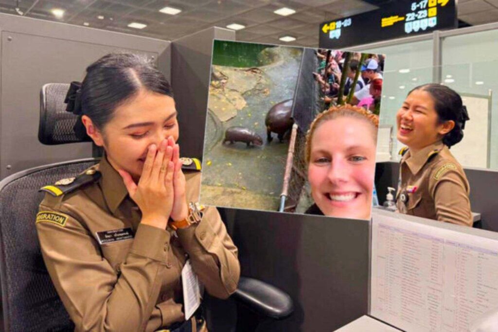 Thaïlande : une touriste fait 18h de vol juste pour voir Moo Deng
