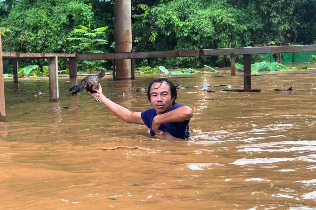 La Thaïlande se mobilise pour sauver des éléphants victimes des inondations