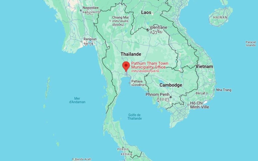 Thaïlande : l'effroi des chats alerte des habitants sur un animal dangereux