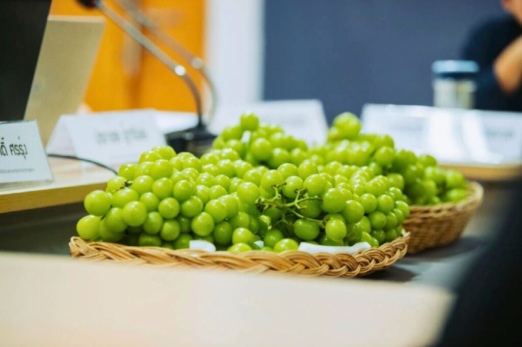 Alerte sur les raisins contaminés en Thaïlande