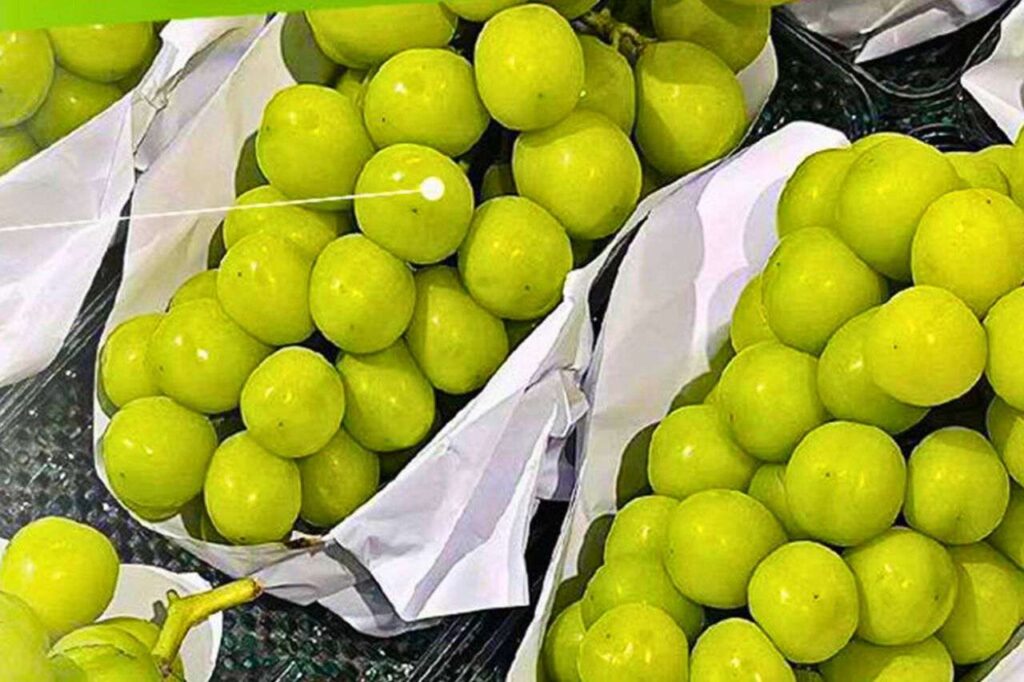 Alerte sur les raisins contaminés en Thaïlande