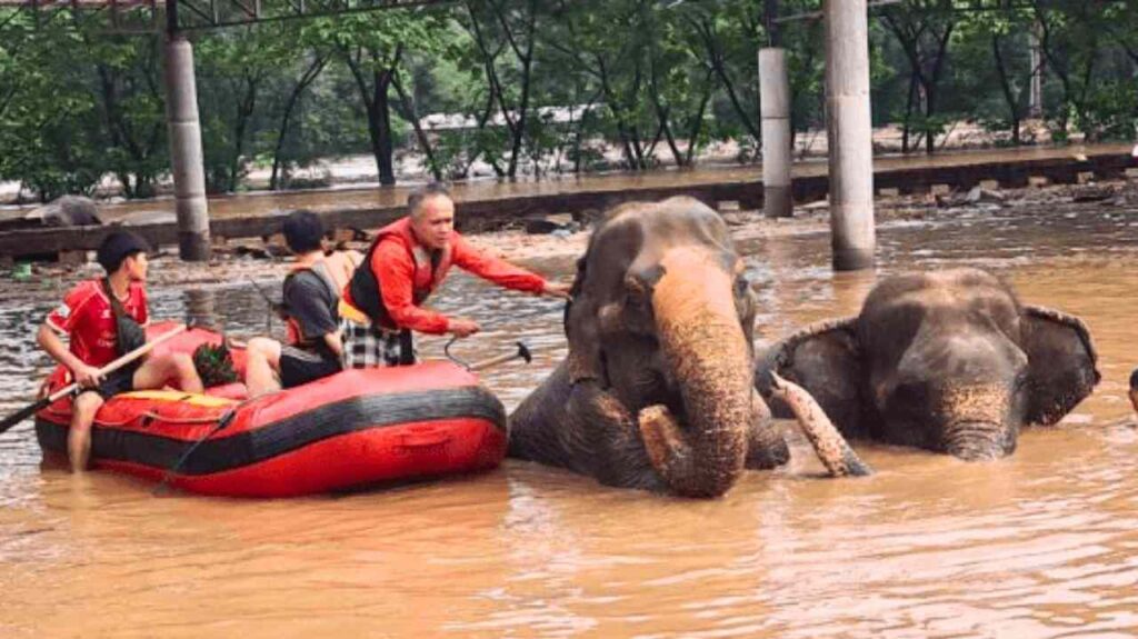 Comment la Thaïlande peut-elle faire face au déluge ? 5 Comment la Thaïlande peut-elle faire face au déluge ?