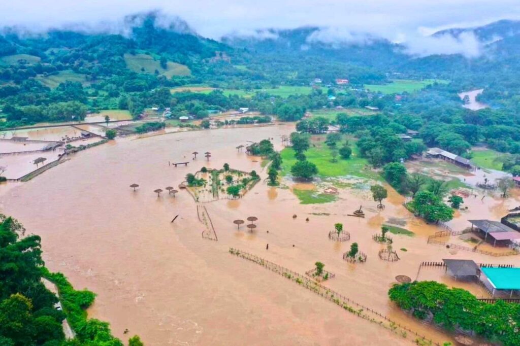 La Thaïlande se mobilise pour sauver des éléphants victimes des inondations
