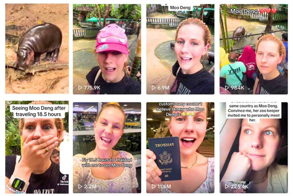 Thaïlande : une touriste fait 18h de vol juste pour voir Moo Deng