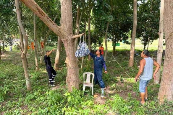 Un Français en difficultés financières se suicide dans l&rsquo;est de la Thaïlande