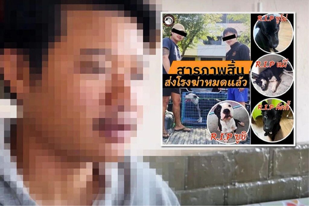 Thaïlande : un homme adoptait des chiens sur Facebook pour les manger