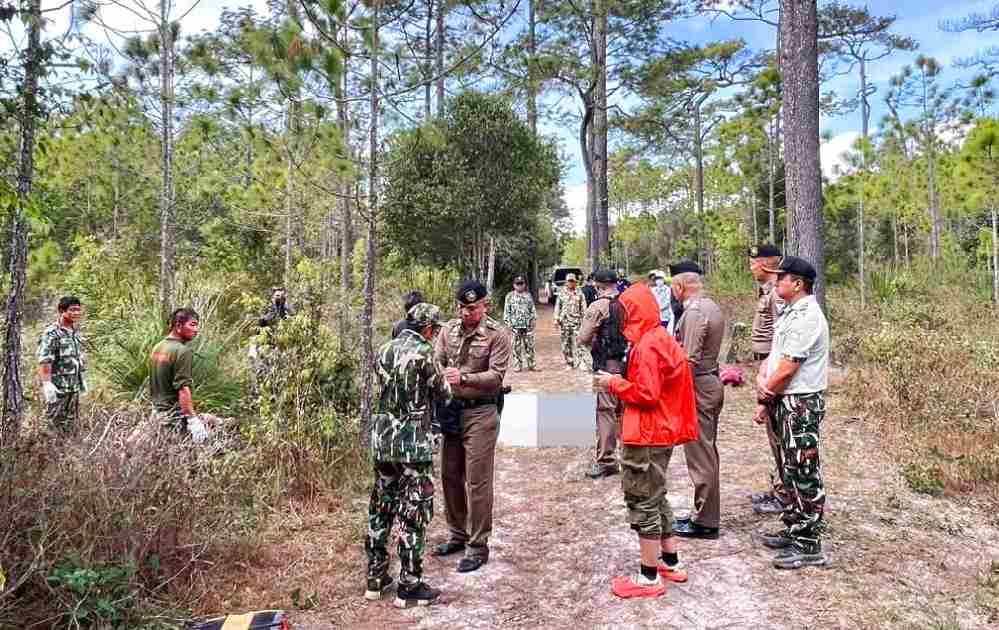Thaïlande : un éléphant sauvage tue une touriste dans un parc national