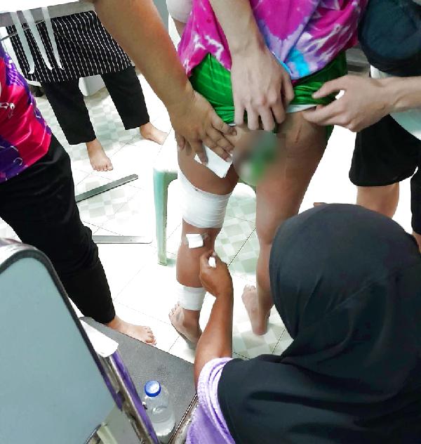 Thaïlande : une femme gravement blessée après une attaque de chiens errants