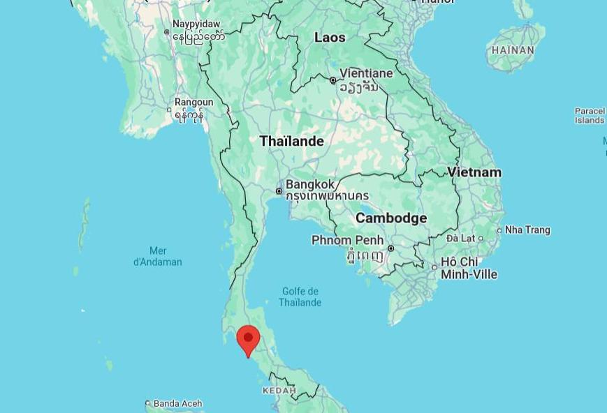 Thaïlande : une femme gravement blessée après une attaque de chiens errants