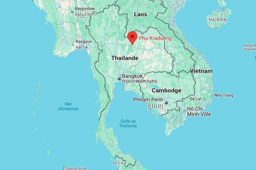 Thaïlande : un éléphant sauvage tue une touriste dans un parc national