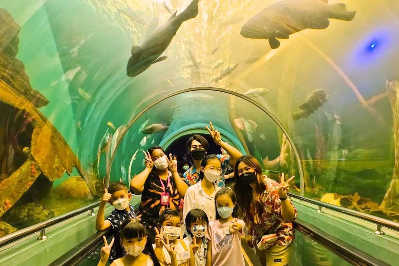 Découvrez les plus beaux aquariums de Thaïlande : un guide complet