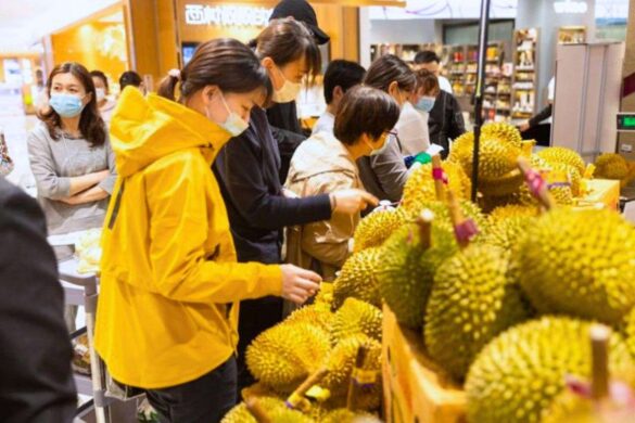 Crise des durians en Thaïlande : la Chine laisse de nouveau passer les conteneurs