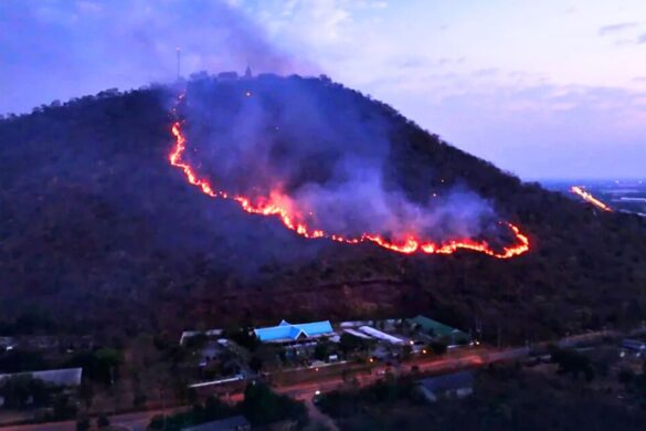 Thaïlande : un incendie menace le plus grand parc ornithologique d&rsquo;Asie