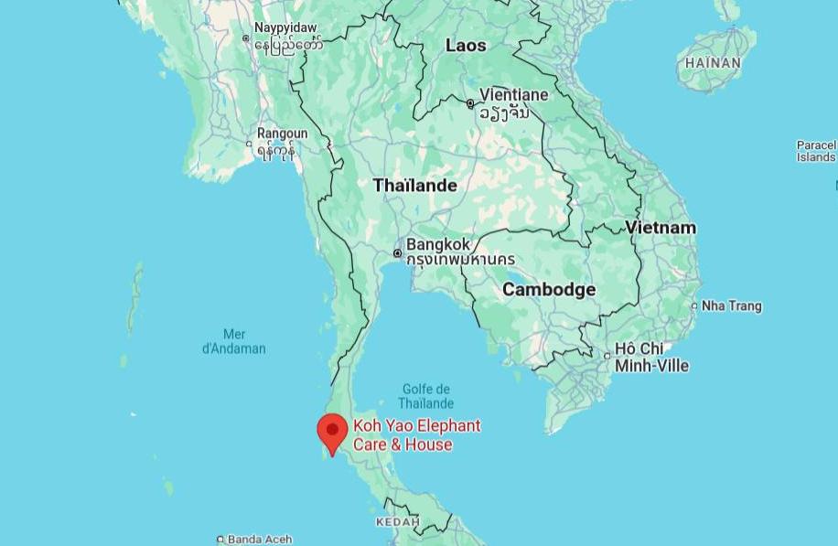 Thaïlande : un éléphant stressé tue une touriste espagnole de 22 ans